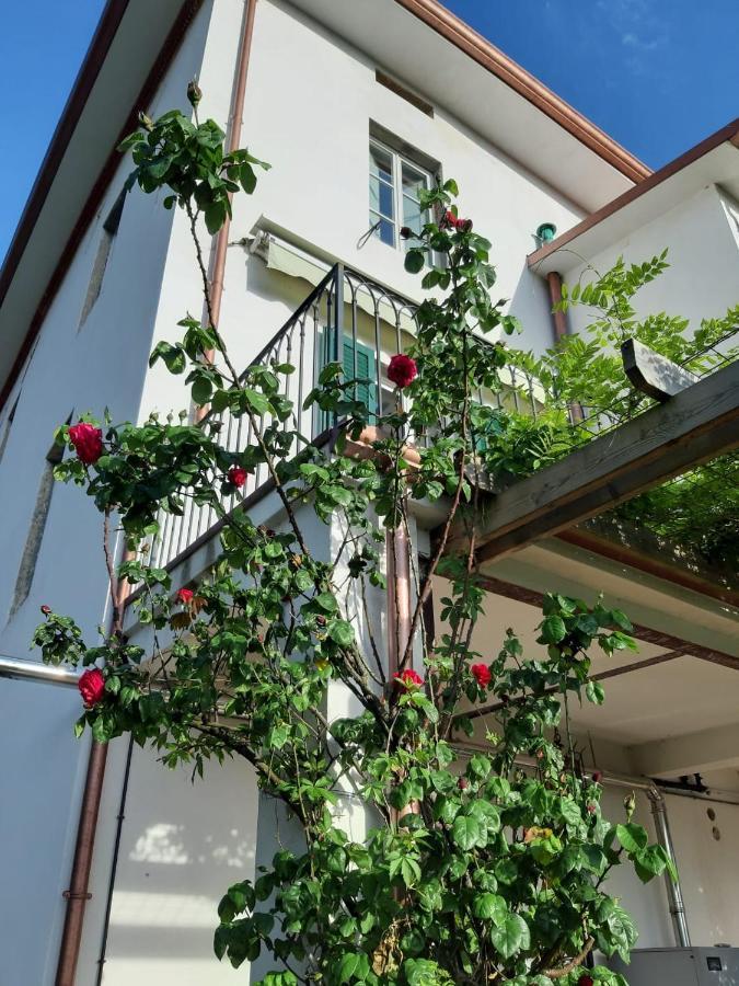 Villa Pavone 코렐리아안텔미넬리 외부 사진
