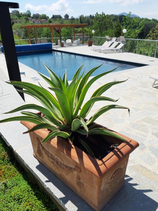 Villa Pavone 코렐리아안텔미넬리 외부 사진